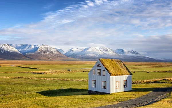 冰岛西北部Glaumbaer的传统草皮覆盖了房屋 在一个阳光灿烂的秋天里 有马的农田 还有雪山覆盖的背景 — 图库照片