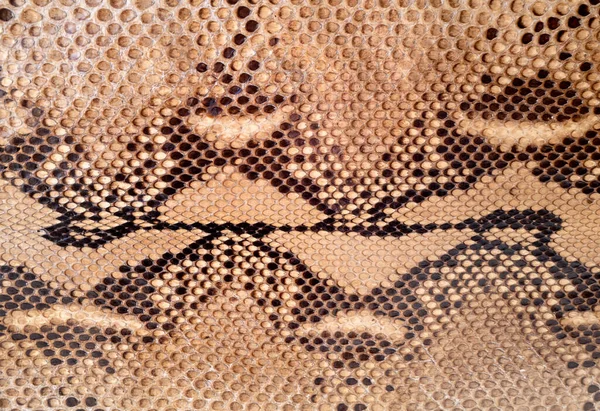 Vintage Snakeskin Background Detail Scales Shades Beige Tan Black — Stock Photo, Image