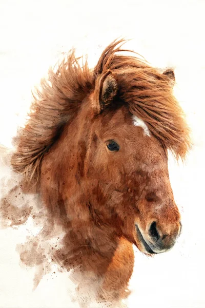 Chestnut Icelandic Horse Islenski Hesturinn Digital Watercolour Close Face Mane — Stockfoto