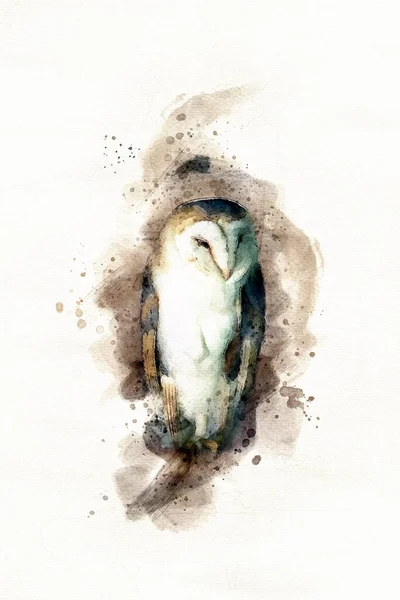 Barn Owl Perched Branch Old Barn Digital Watercolour Painting White — Stock Photo, Image