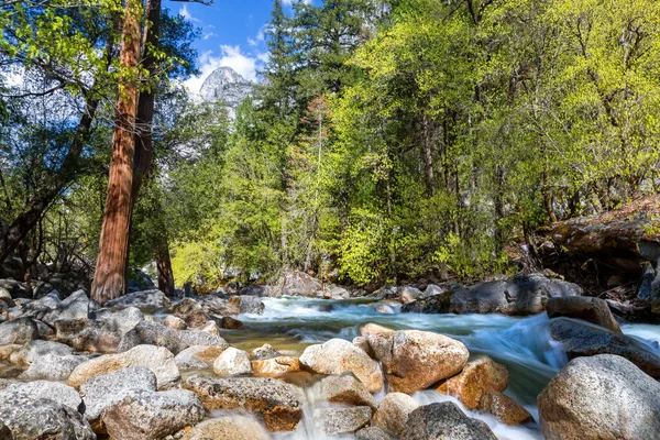 Flowing Mountain River Yosemite National Park Half Dome Visible Trees — Zdjęcie stockowe