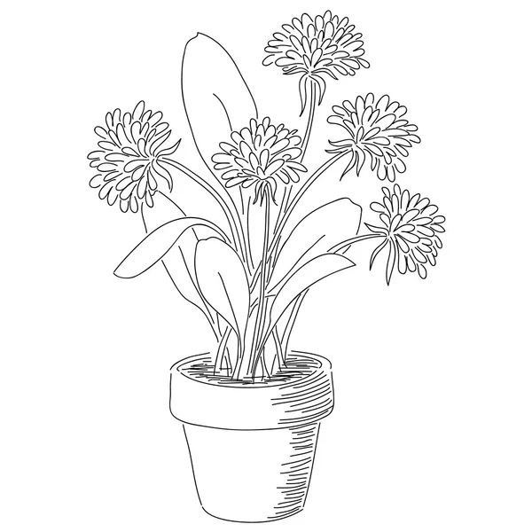 Flores dibujadas a mano — Vector de stock