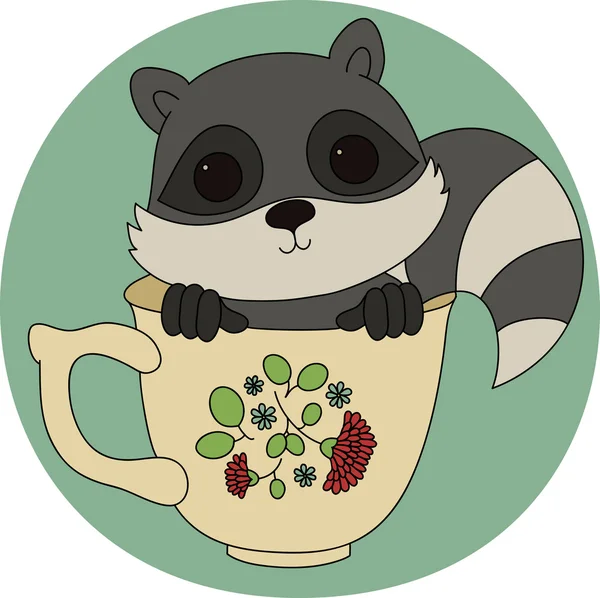 Baby raccoon in a cup — Stock Vector