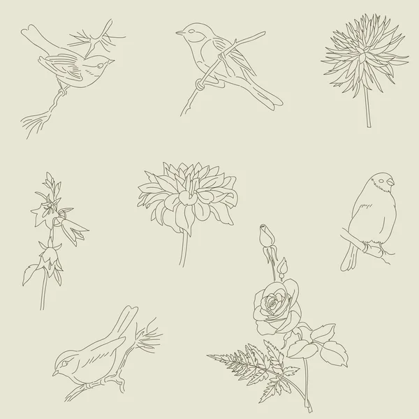 Fleurs et oiseaux. Icônes isolées dessinées main . — Image vectorielle