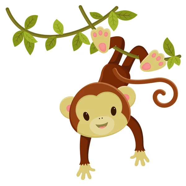 Macaco de desenho animado bonito pendurado em uma liana. Vector clipe arte illustra — Vetor de Stock