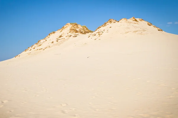 Rörliga sanddyner i Łeba, poland — Stockfoto