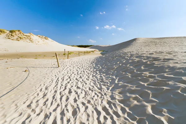 Moving dunes in Leba, Poland