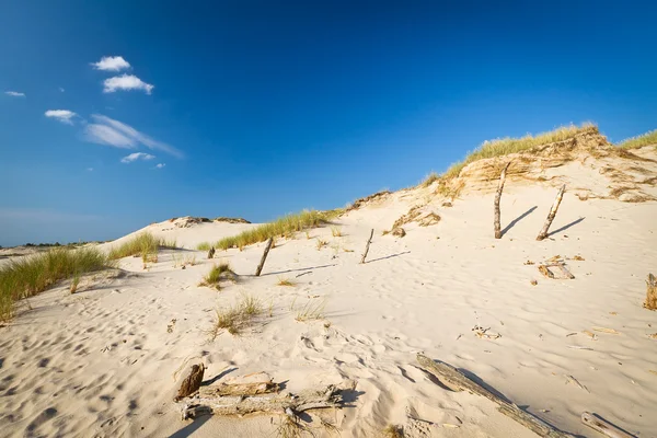 Двигающиеся дюны в Лебе, Польша — стоковое фото