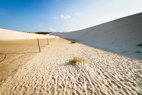 Двигающиеся дюны в Лебе, Польша — стоковое фото