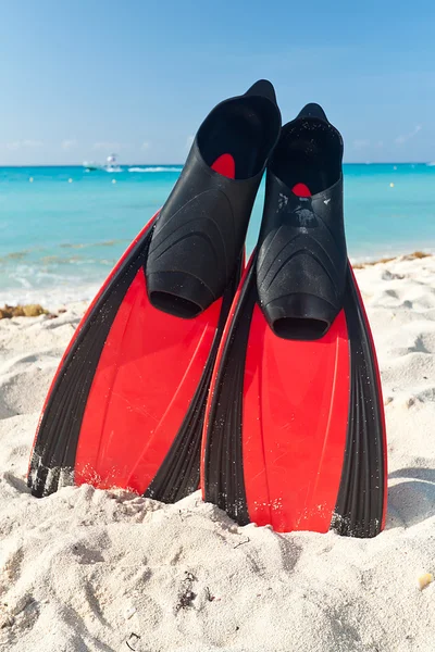 Red flippers at the Caribbean Sea — Stock Photo, Image