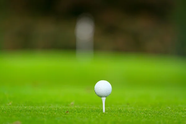 Pelota de golf en el hermoso campo de golf —  Fotos de Stock