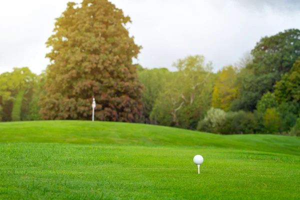 Pelota de golf en el hermoso campo de golf —  Fotos de Stock