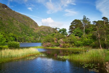 Connemara göl ve dağların