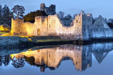 Ruins of Adare castle at the river clipart