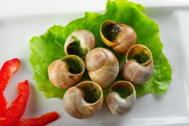 salyangoz sarımsak tereyağı Fransız