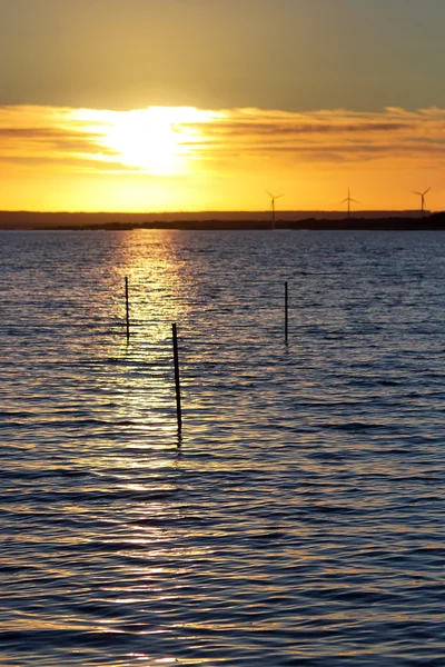 Puesta de sol en el mar Báltico — Foto de Stock