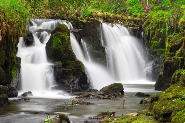Belle cascade de Clare Glens — Photo