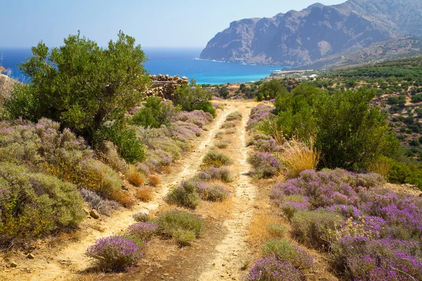 Vedlejší silnice na moři na Krétě — Stock fotografie