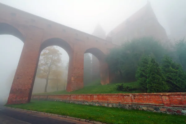 雾风光的华沙城堡和大教堂 — 图库照片