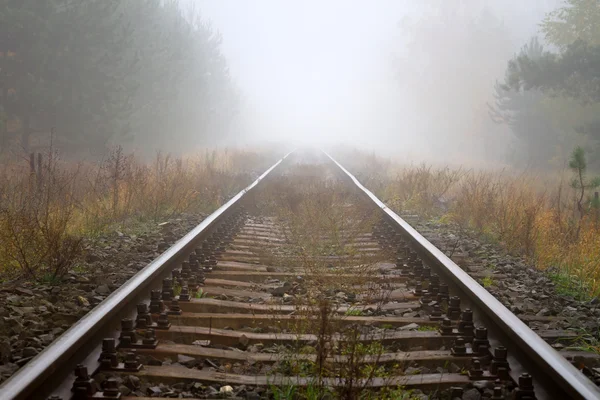 霧深い天候で鉄道のレール — ストック写真