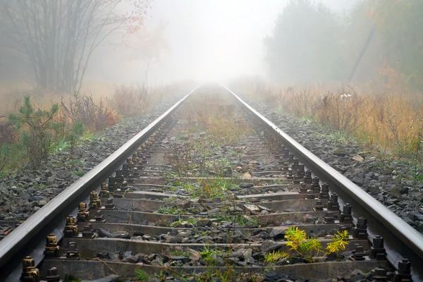 Trilhos de trem em tempo nebuloso — Fotografia de Stock