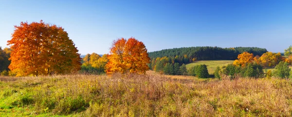 Höstigt landskap av ängen i Polen — Stockfoto