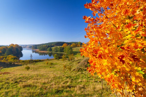 Осенний пейзаж луга и озера — стоковое фото