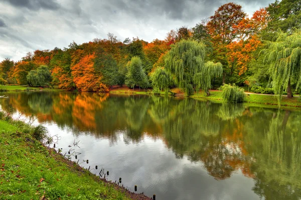 在公园池塘的秋季风光 — 图库照片