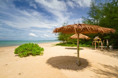 şemsiye ile tropik sahil sahne