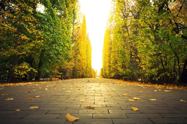 Herfst steegje in het park van gdansk — Stockfoto