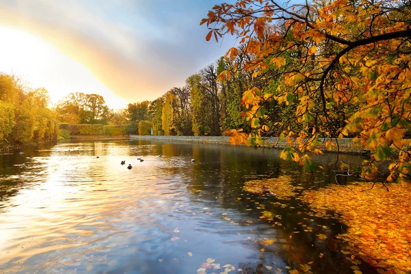 Coucher de soleil automnal dans le parc — Photo