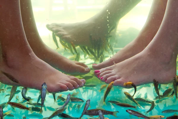 Pesce spa pedicure — Foto Stock