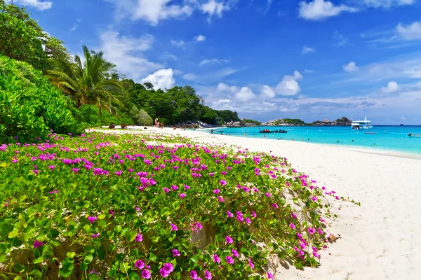 Playa idílica de islas Similan — Foto de Stock