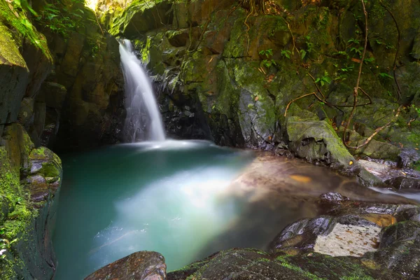 Cachoeira do paraíso na selva — Fotografia de Stock