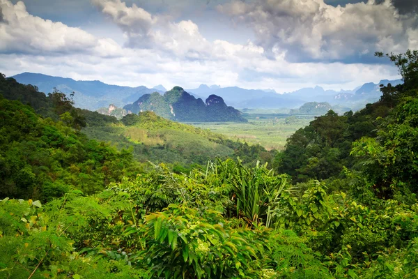 Floresta tropical do Parque Nacional Khao Sok — Fotografia de Stock