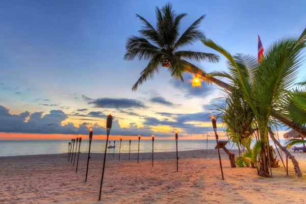 Zonsondergang onder tropische palmboom op het strand — Stockfoto
