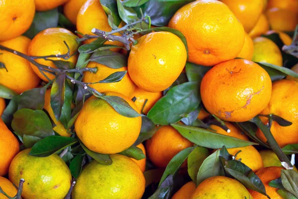 Frutos de tangerina no mercado local — Fotografia de Stock