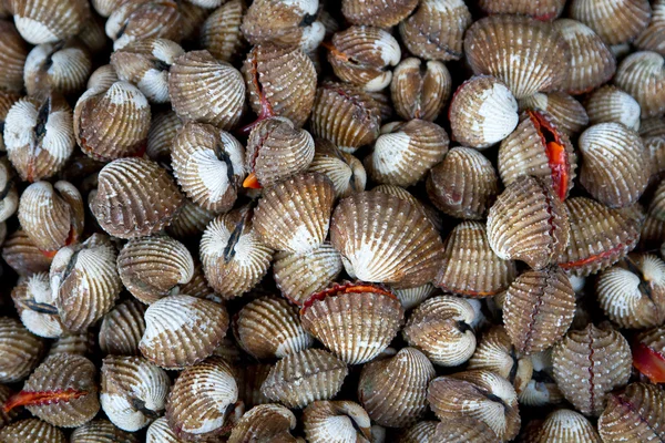 Fistolar yerel piyasada