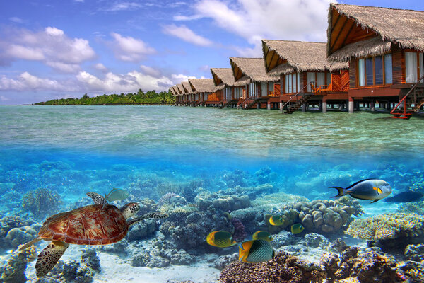 Tropical water of Maldives