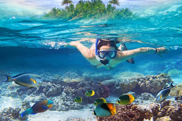 Snorkelen in het tropische water Rechtenvrije Stockfoto's