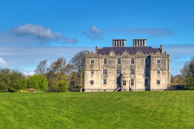Portumna Castle in Co. Galway clipart