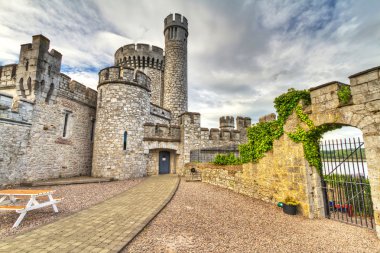 Blackrock Kalesi ve observarory Cork