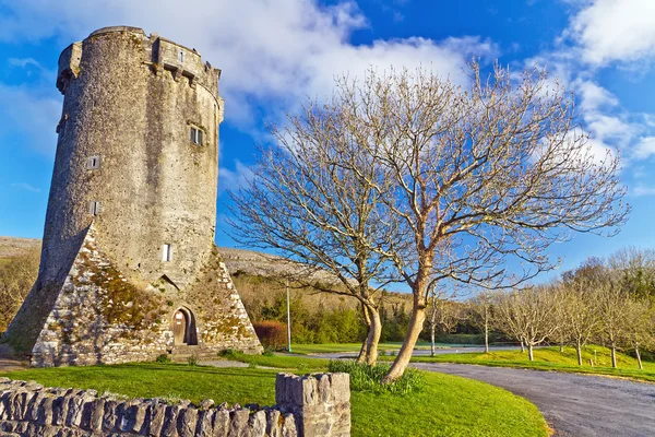 Castelo de Newtown do século XVI — Fotografia de Stock