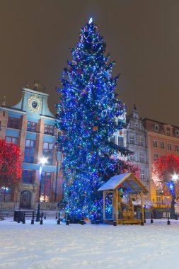gdansk eski şehir kış manzarası ile Noel ağacı