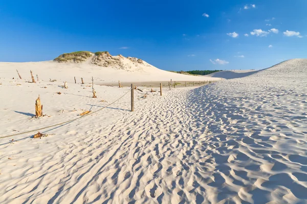 Moving dunes near Baltic Sea in Leba