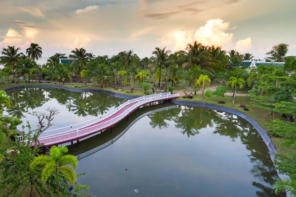 Paysage tropical de palmiers en Thaïlande — Photo