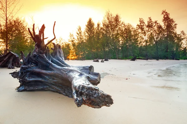 Amazing sunrise on the beach of Koh Kho Khao — Stock Photo, Image