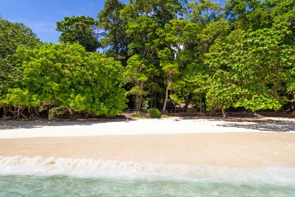 Tropical beach of Similan Islands — Stock Photo, Image