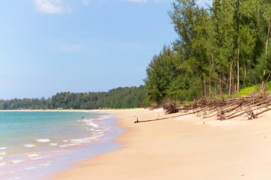 pastoral plaj andaman Denizi Tayland