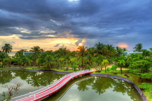 Paisaje tropical de palmeras al atardecer — Foto de Stock